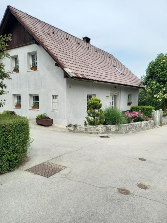 Apartmaji Magda Apartment Zgornje Gorje Luaran gambar