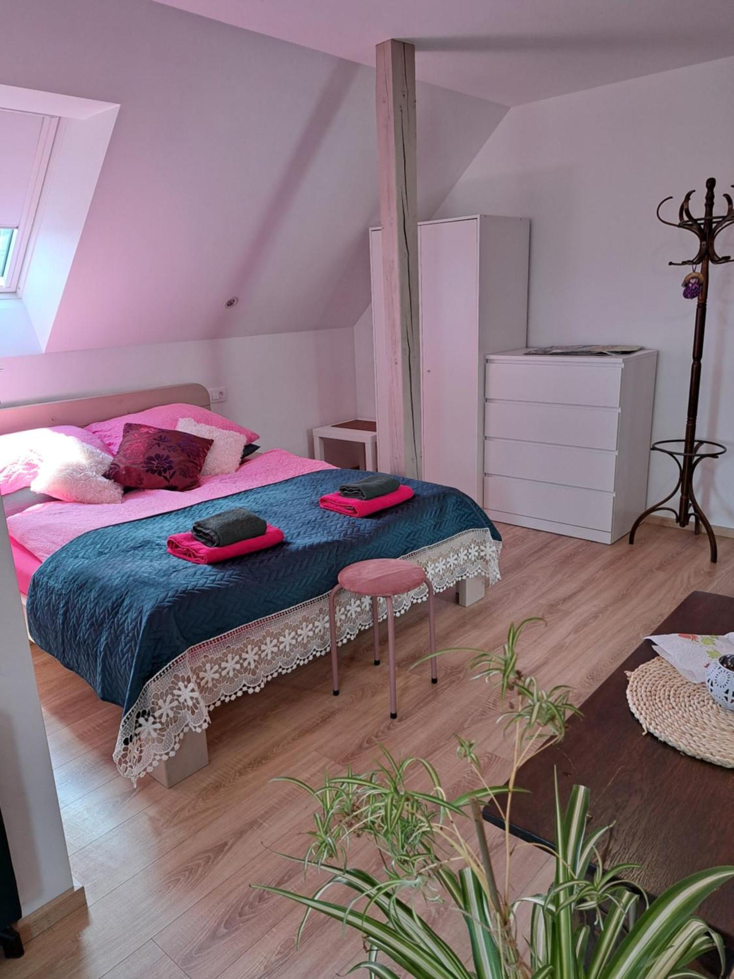 Apartmaji Magda Apartment Zgornje Gorje Luaran gambar